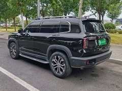 Great Wall Dachshund 1.5T DCT Two-Wheel Drive Malinois Edition - ფოტო 4