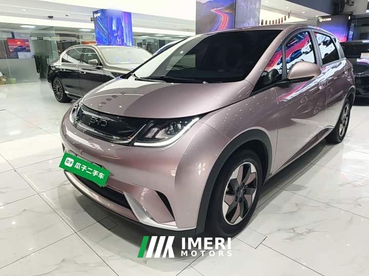 BYD Dolphin 420km Fashion Edition