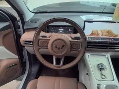 Wuling Bingo S 430km Flagship - ფოტო 10