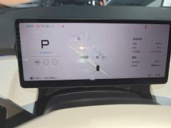 Xpeng P7 Long Range Max - ფოტო 15