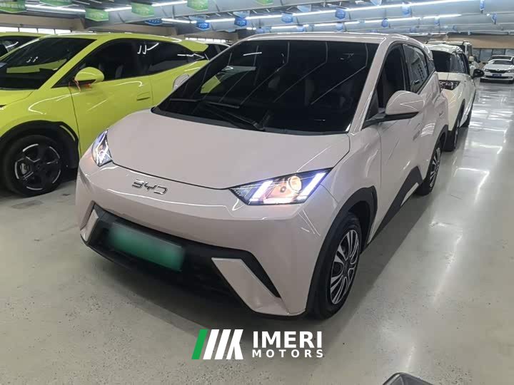 BYD Seagull Glory Edition 305km Vitality Version