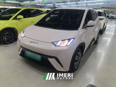 2024 BYD Seagull Glory Edition 305km Vitality Version