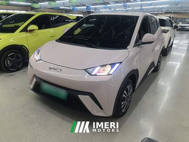 BYD Seagull Glory Edition 305km Vitality Version