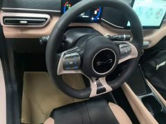BYD Seagull Glory Edition 305km Vitality Version - ფოტო 10
