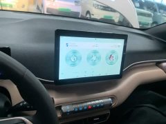 BYD Seagull Glory Edition 305km Vitality Version - ფოტო 12