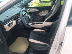 BYD Seagull Glory Edition 305km Vitality Version - ფოტო 14