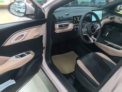 BYD Seagull Glory Edition 305km Vitality Version - ფოტო 15