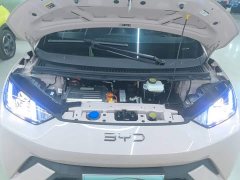 BYD Seagull Glory Edition 305km Vitality Version - ფოტო 19
