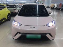 BYD Seagull Glory Edition 305km Vitality Version - ფოტო 2