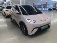 BYD Seagull Glory Edition 305km Vitality Version - ფოტო 3