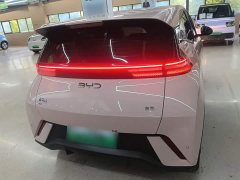 BYD Seagull Glory Edition 305km Vitality Version - ფოტო 5