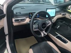 BYD Seagull Glory Edition 305km Vitality Version - ფოტო 9