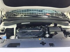 Hyundai Santa Fe Traveler 380T GDi Automatic 2WD GLX Elite - ფოტო 19