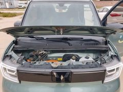 Wuling Hongguang MINIEV GAMEBOY 200km Fun Edition LFP Battery - ფოტო 19