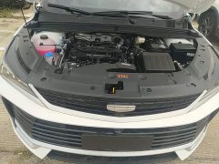 Geely Bingyue L 1.5TD DCT Exceed - ფოტო 19