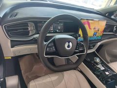 Denza D9 DM-i 980 Four-Wheel Drive Premium - ფოტო 10