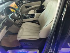 Denza D9 DM-i 980 Four-Wheel Drive Premium - ფოტო 14