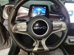 BYD Dolphin 420km Freedom Edition - ფოტო 10