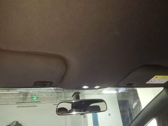 BYD Dolphin 420km Freedom Edition - ფოტო 17