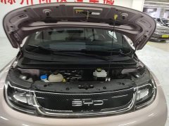 BYD Dolphin 420km Freedom Edition - ფოტო 19