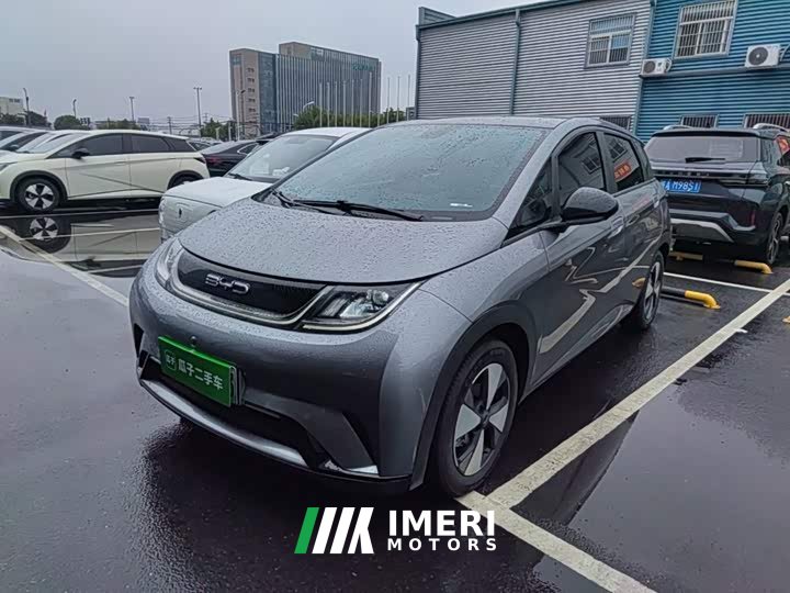 BYD Dolphin 420km Fashion Edition - ავტომობილი ჩინეთიდან
