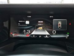 Tank 300 Off-Road Edition 2.0T Conqueror - ფოტო 11
