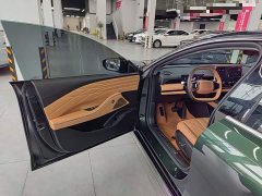 Geely Galaxy Xingyao 8 130km EM-i Premium Edition - ფოტო 15