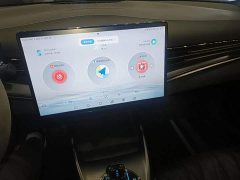 BYD Seal Champion Edition 550km Luxury - ფოტო 12