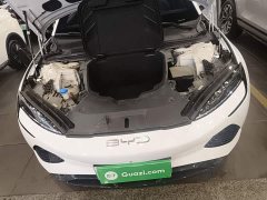 BYD Seal Champion Edition 550km Luxury - ფოტო 19