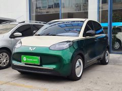 Wuling Binguo 333km Joy Edition - ფოტო 1