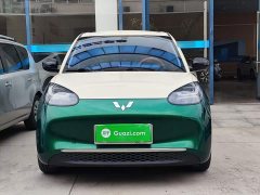 Wuling Binguo 333km Joy Edition - ფოტო 2