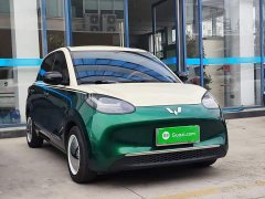 Wuling Binguo 333km Joy Edition - ფოტო 3