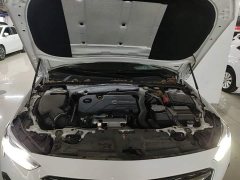 Buick Regal 552T Luxury - ფოტო 19