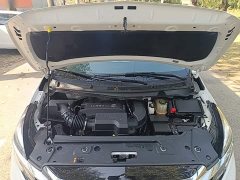 Buick GL8 Land Business Class Comfort Edition - ფოტო 19