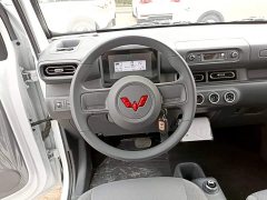 Wuling Zhiguang New Energy 201km Standard - ფოტო 10