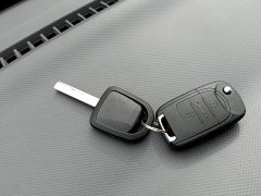 Wuling Zhiguang New Energy 201km Standard - ფოტო 8
