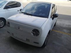 ORA Black Cat 301km Cute Pet Edition LFP Battery - ფოტო 1
