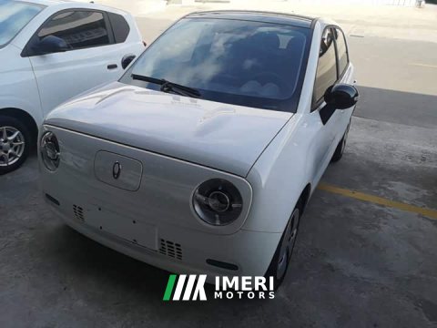 2021 ORA Black Cat 301km Cute Pet Edition LFP Battery - ავტომობილი ჩინეთიდან