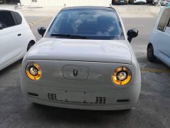 ORA Black Cat 301km Cute Pet Edition LFP Battery - ფოტო 2