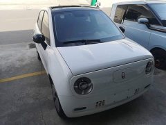 ORA Black Cat 301km Cute Pet Edition LFP Battery - ფოტო 3