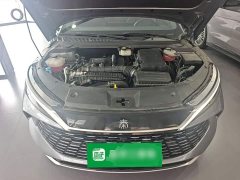BYD Qin L DM-i Smart Drive Edition 120KM Excellence - ფოტო 19