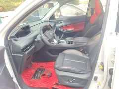 Changan CS55 PLUS 2nd Generation 1.5T DCT Luxury - ფოტო 14