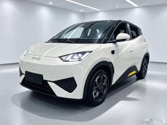 BYD Seagull Smart Driving Edition 305km Freedom Edition - ფოტო 1