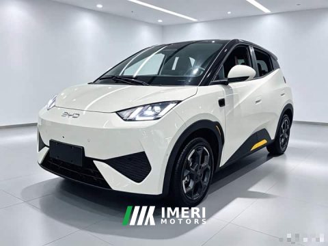 2025 BYD Seagull Smart Driving Edition 305km Freedom Edition - ავტომობილი ჩინეთიდან