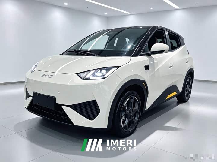 BYD Seagull Smart Driving Edition 305km Freedom Edition