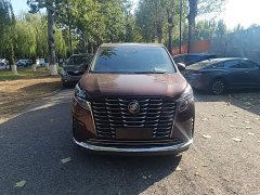 Buick GL8 ES Luxun Luxury Edition - ფოტო 2