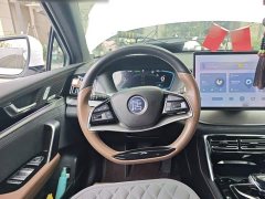 BYD Tang New Energy DM-i 112KM Premium Edition - ფოტო 13