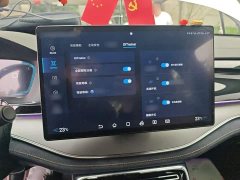 BYD Tang New Energy DM-i 112KM Premium Edition - ფოტო 18