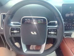 Li Auto L6 Pro - ფოტო 10