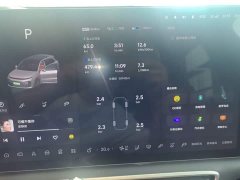 Li Auto L6 Pro - ფოტო 11